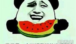 吃娱乐的瓜是什么意思,网络时代下的娱乐八卦文化现象